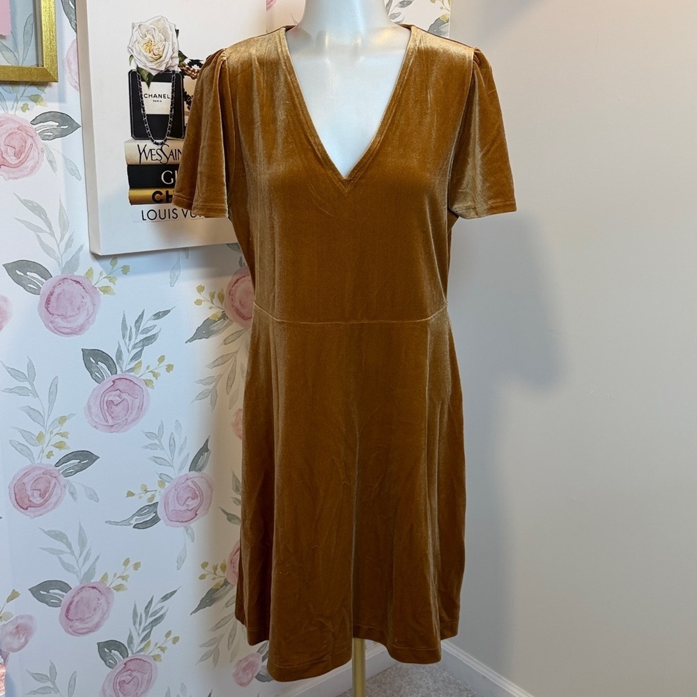 Madewell V-Neck Flutter Velvet Dress